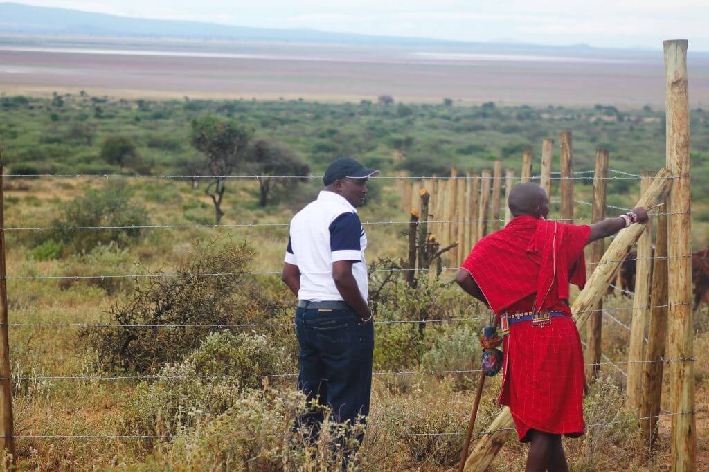 Fenced Olopololi in Amboseli, Kenya