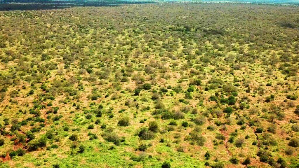 Kuku area bunds after