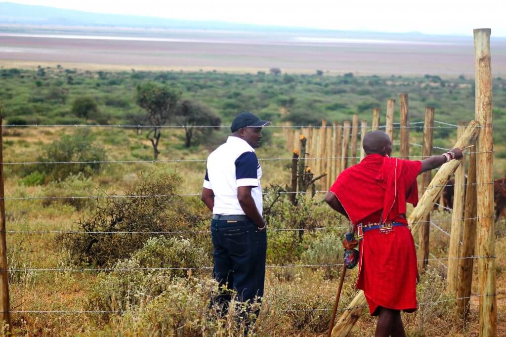 Maasai men fence Amboseli
