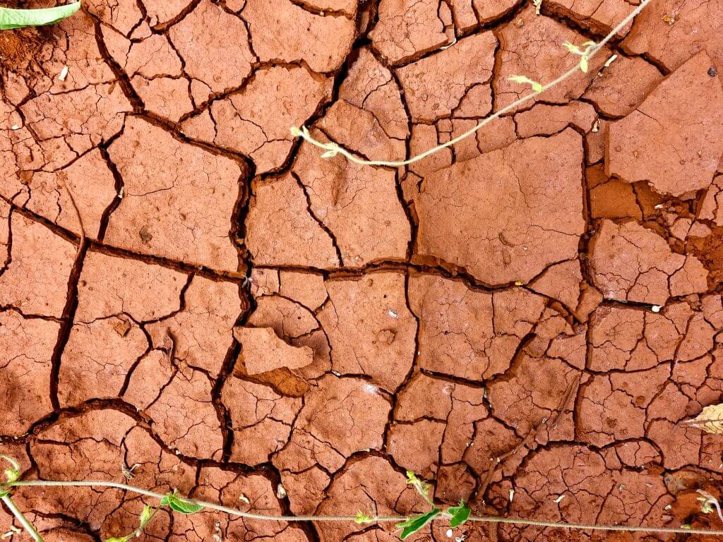 Dry soil drought