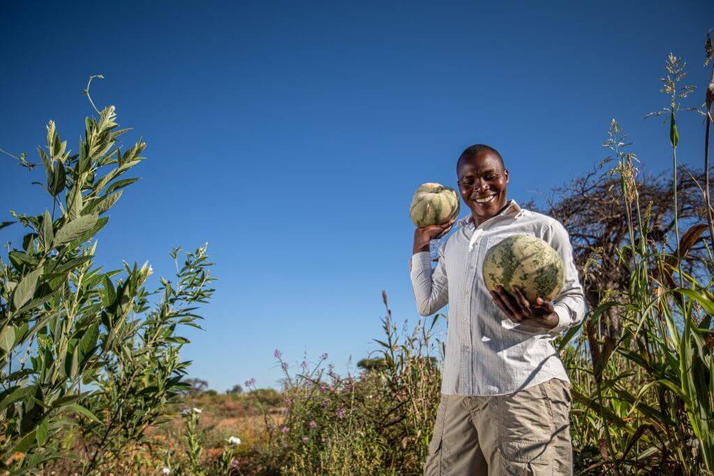 Farmer showing crops