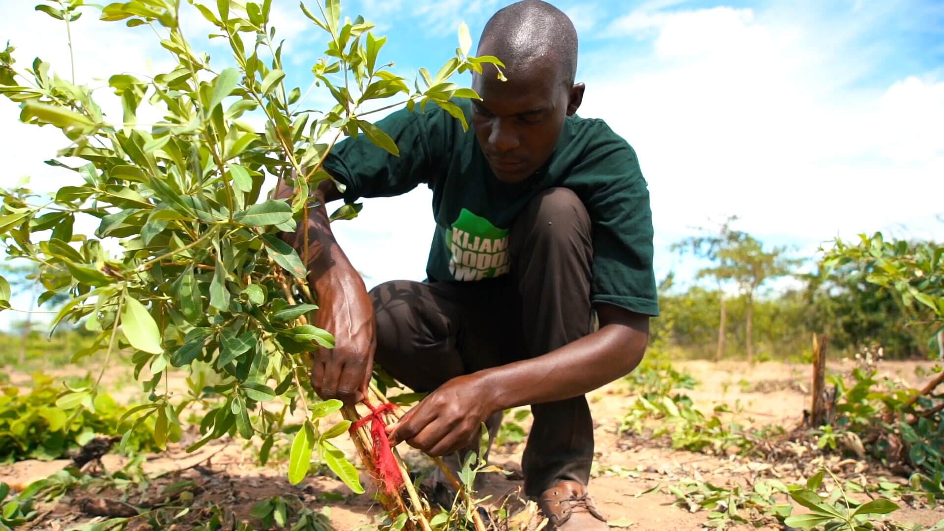 Man performing Kisiki Hai