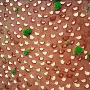 Bunds with water drone shot