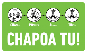 CHAPOA TU