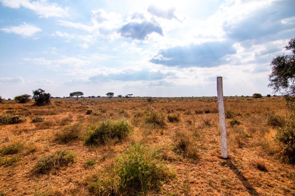 Olopololi mark white pole