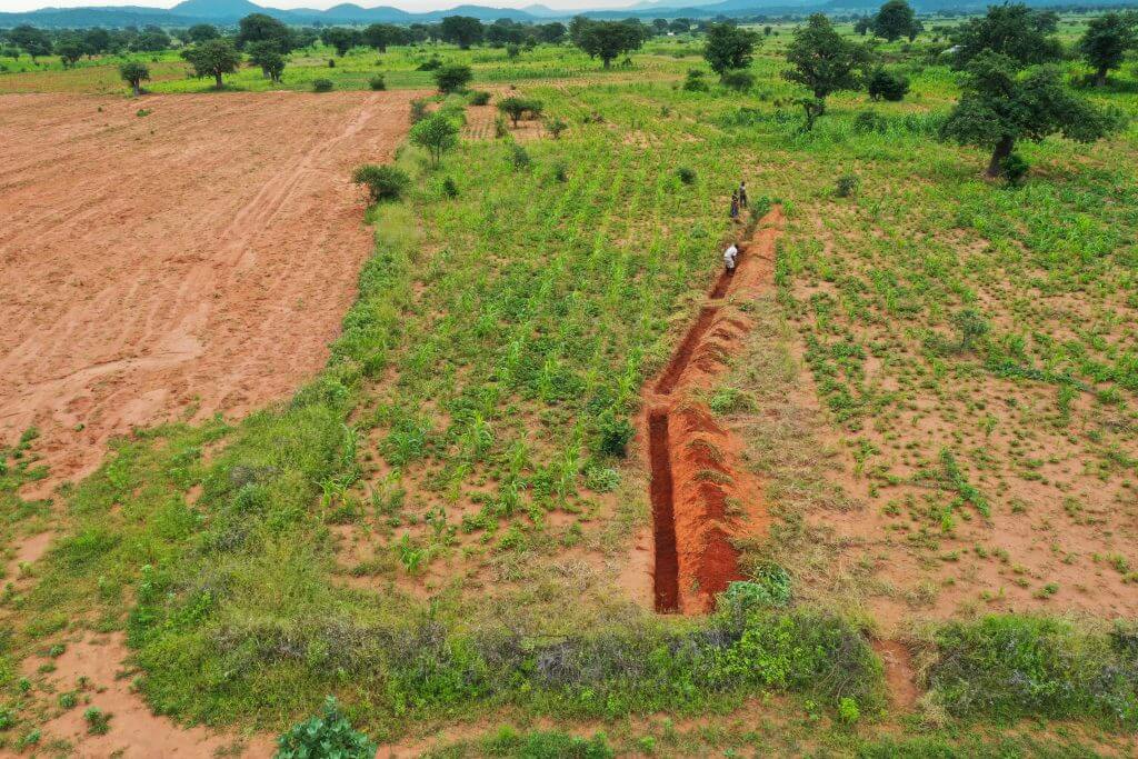 Fanya Juu Fanya Chini