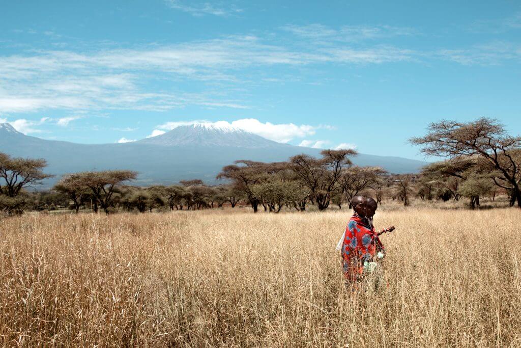 5_Kuku_ Kenya_Work_What we do_Justdiggit_kenya_Kuku_grass_seed_bank_women_Kilimanjaro