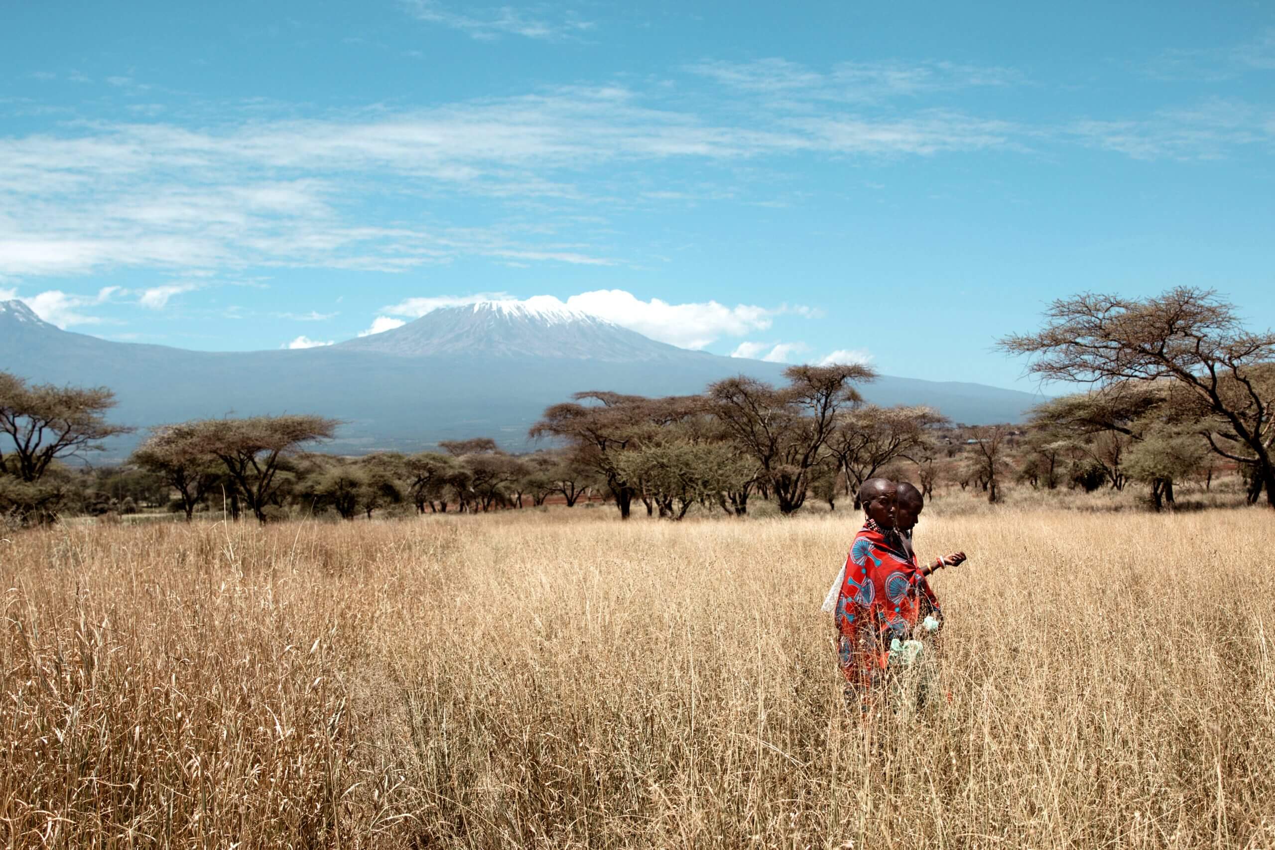 Grass Seed Bank Maasai women