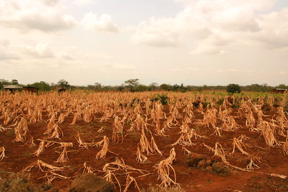 Climate change - drought in Africa - Justdiggit
