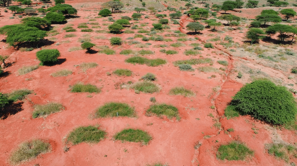 6 juli 2020 bunds kenya drone (2)