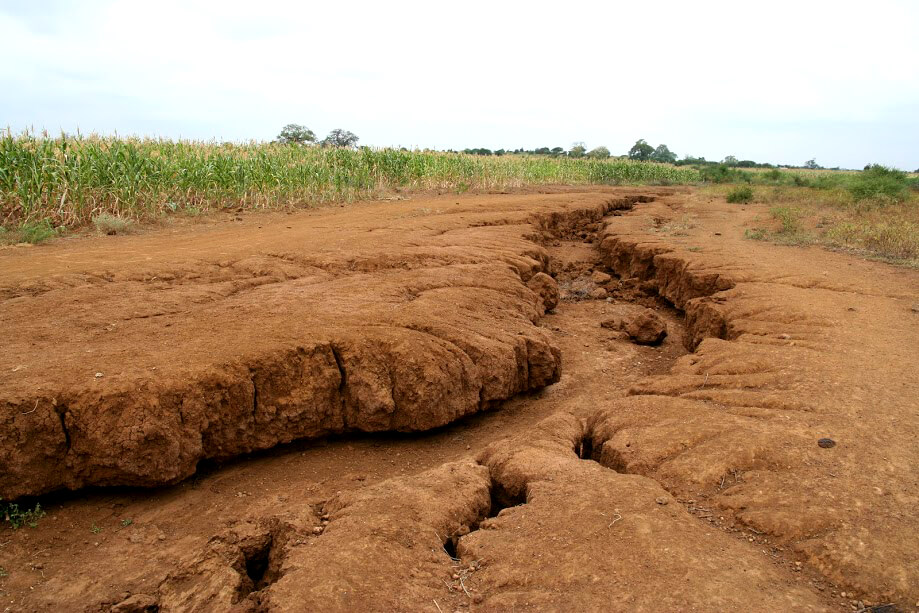 Erosion gully Tanzania