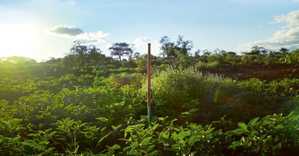 CO2 emissions - Climate change - Drought and erosion - Africa - Justdiggit