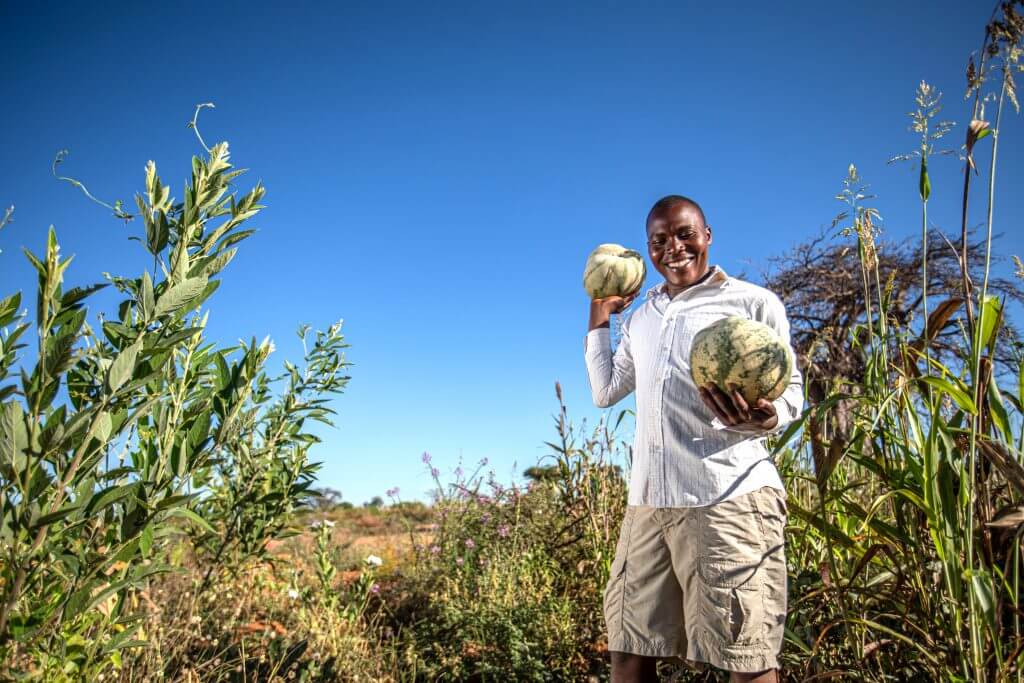 crops tanzania income farmer