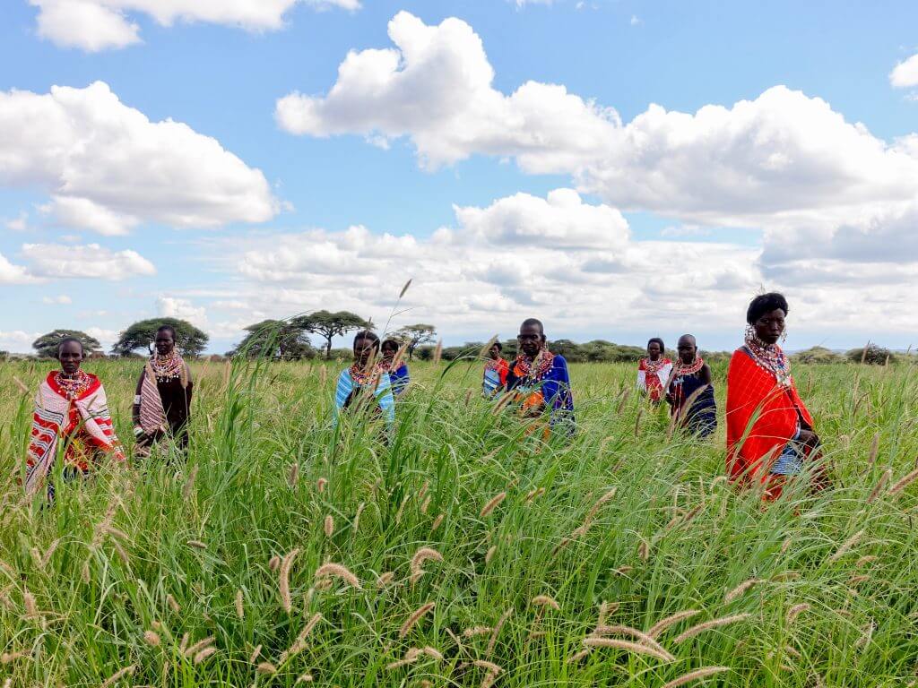 Women in grass seed bank