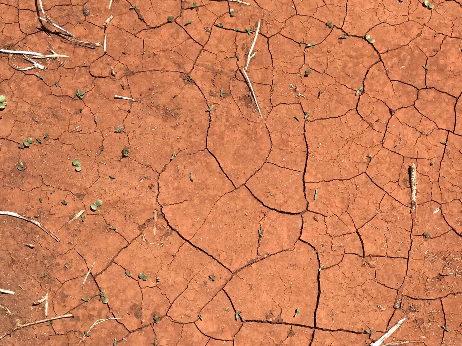 Drought and erosion - climate change - CO2 emission - Justdiggit