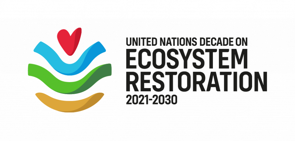 UNDecade_LOGO_MASTER_EN