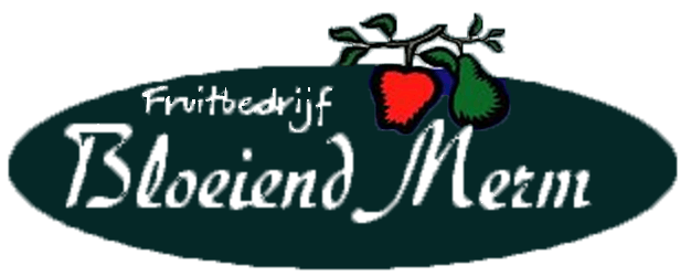 Partners_About us_Justdiggit_Fruitbedrijf_Bloeiend_Merm_logo-gr