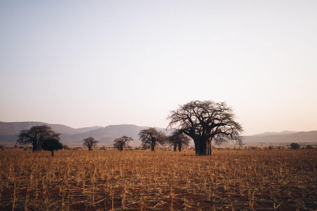 Raindance project - Justdiggit