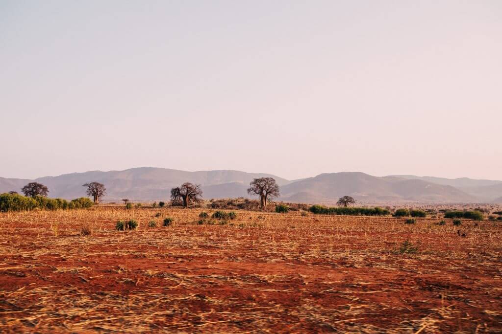 Degraded Ecosystem - Drought - Africa _ Justdiggit