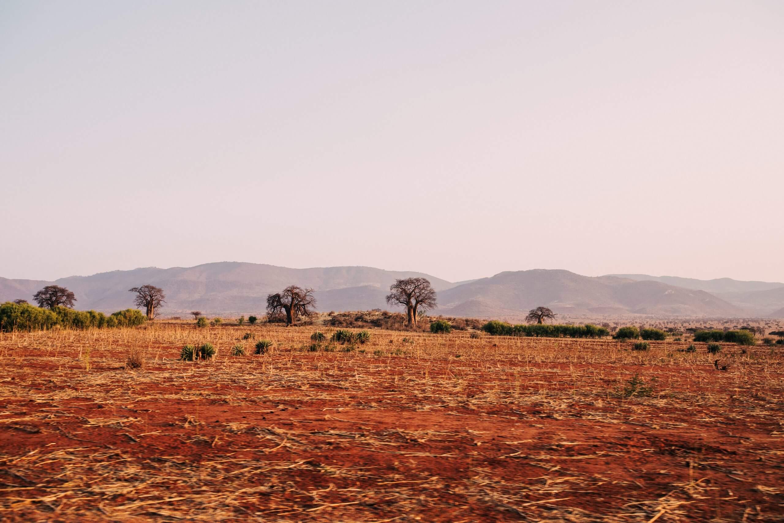 Degraded Ecosystem - Drought - Africa _ Justdiggit