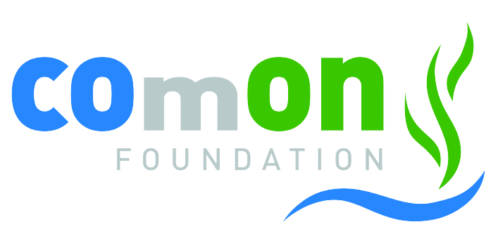 comon_foundation-removebg-preview