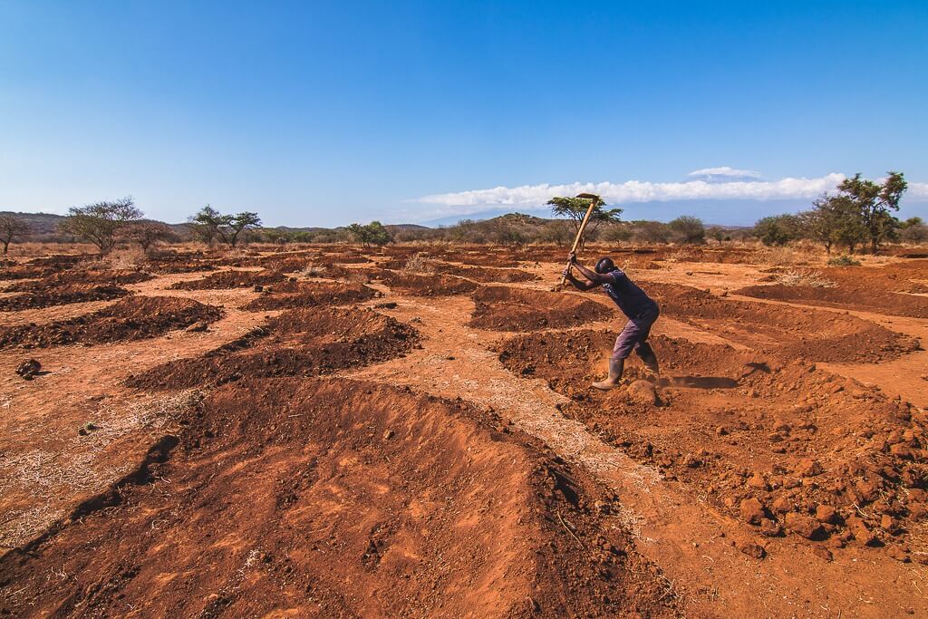Men Digging Enkii Kenya Tony Wild