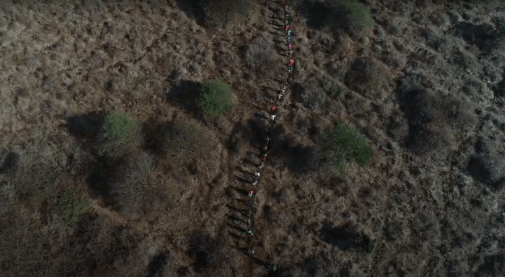Diggers walking to the project area