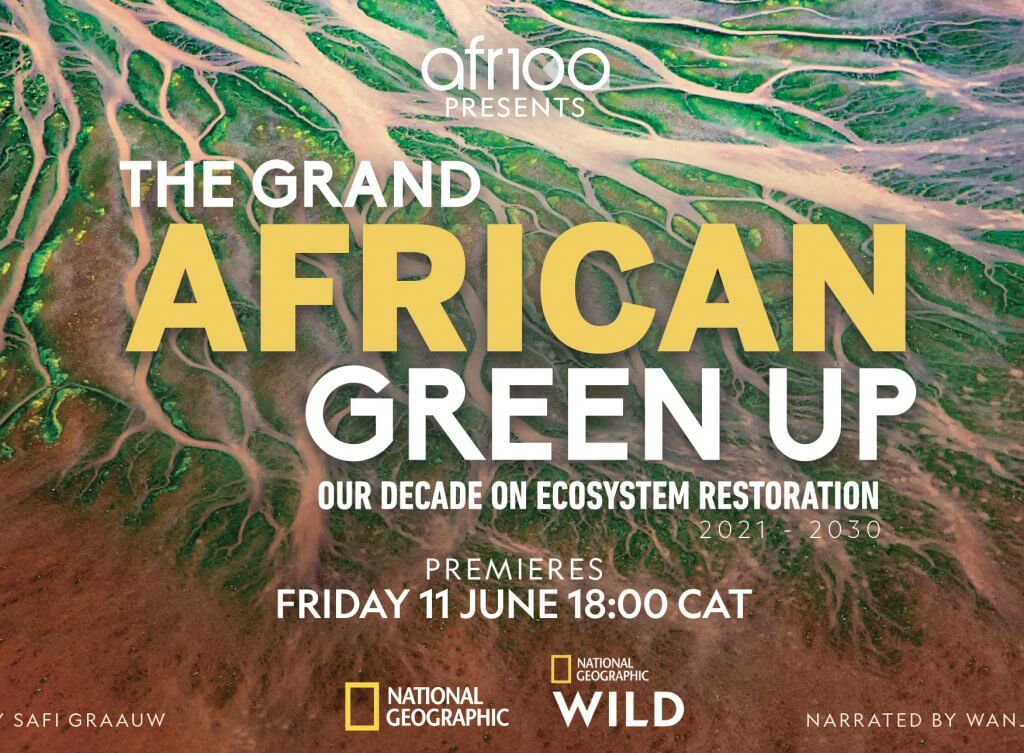 The Grand African Green up poster_news item