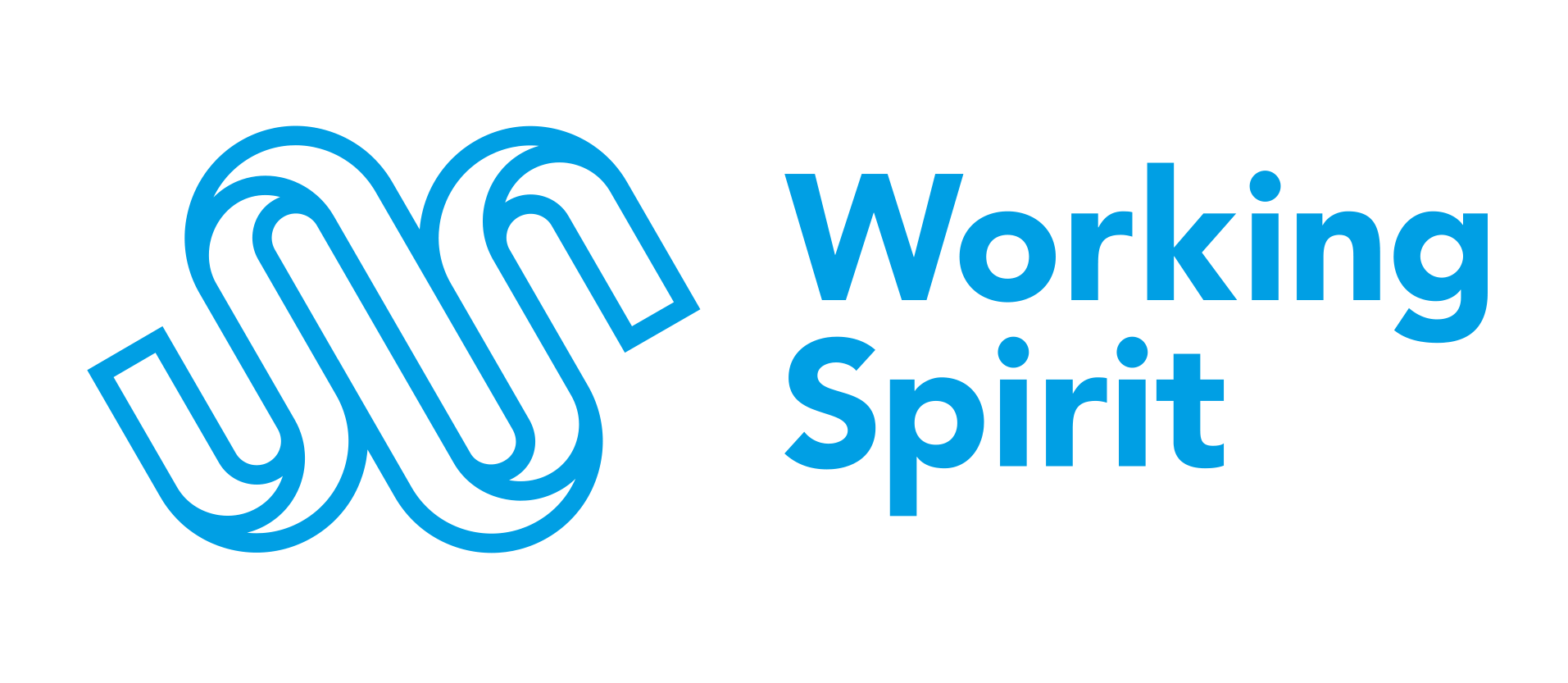 Partners_About us_Justdiggit_Working Spirit_logo