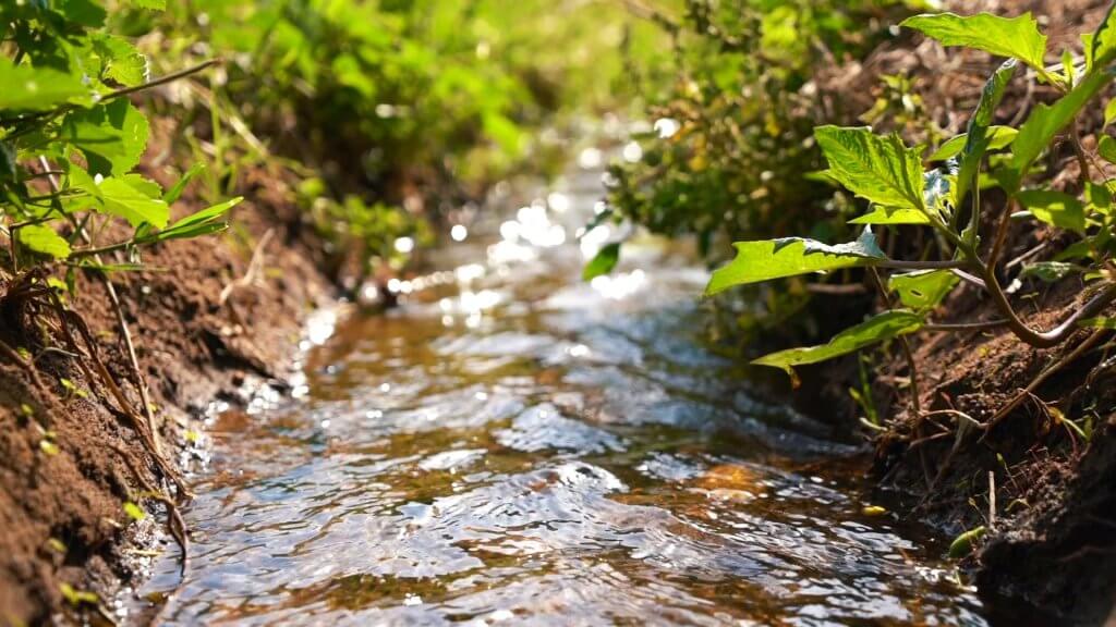 water-enhanced-11344