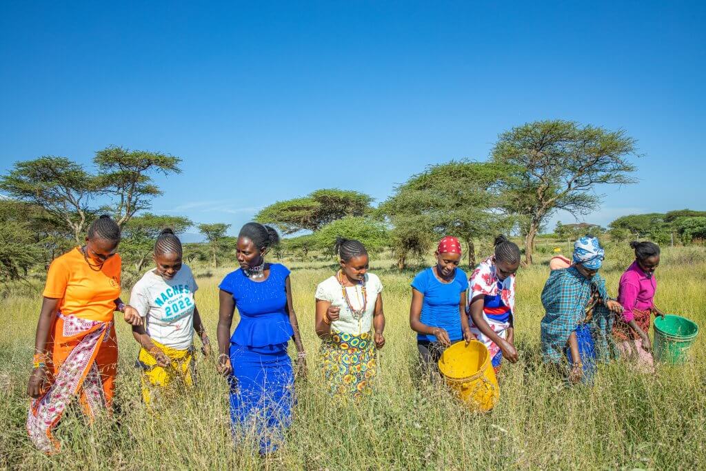 Women Seedback Action -43