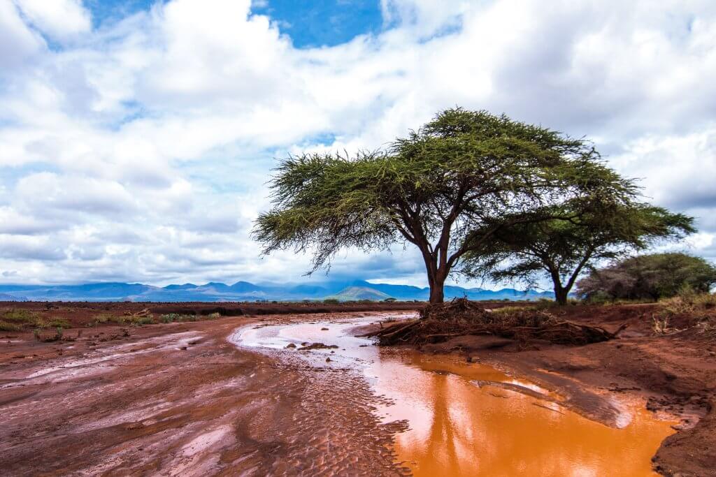 Flooding Kenya water rain