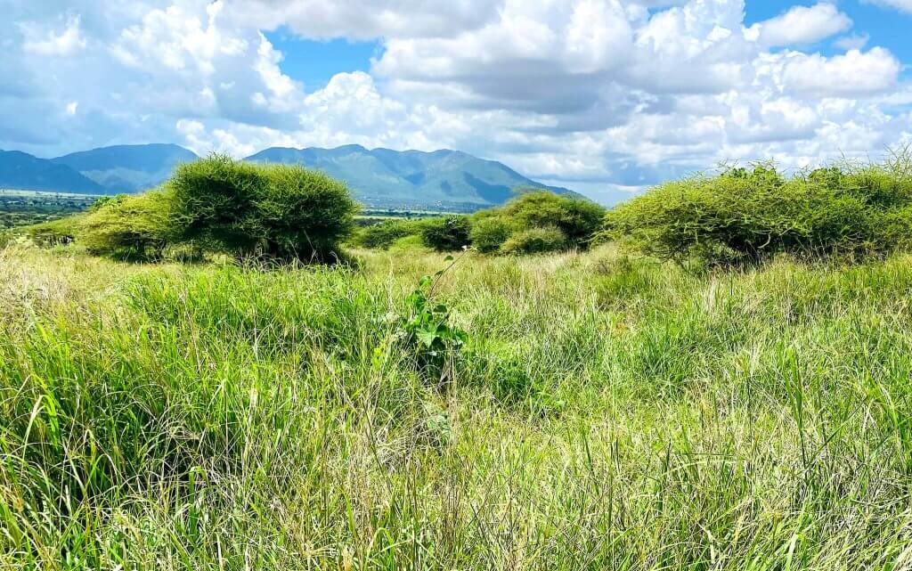 before-after after dodoma