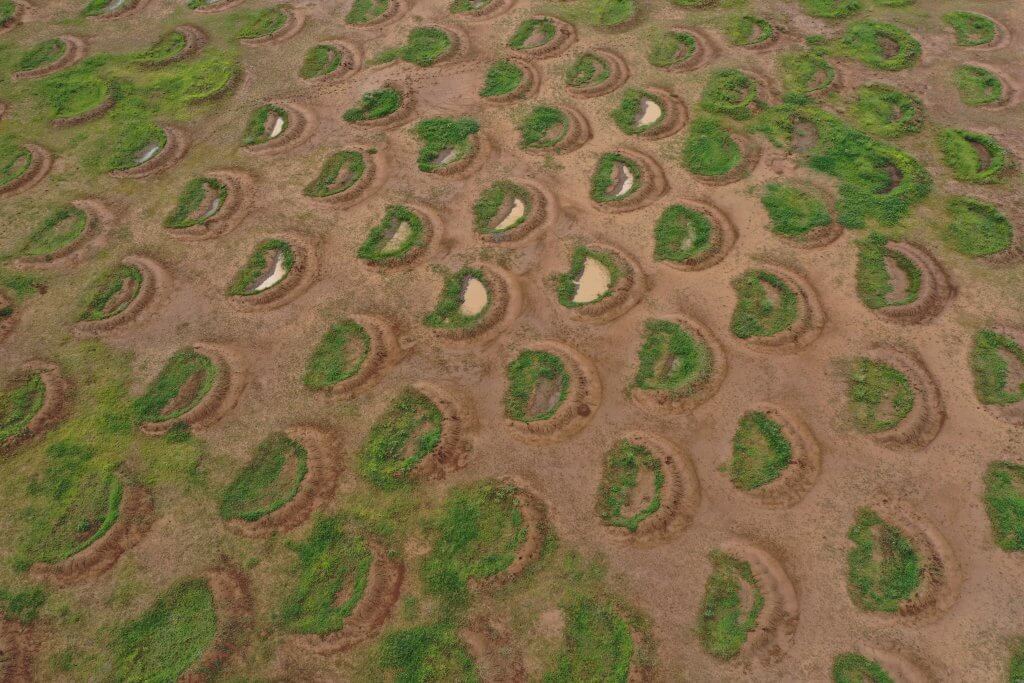 Arusha Tanzania bunds