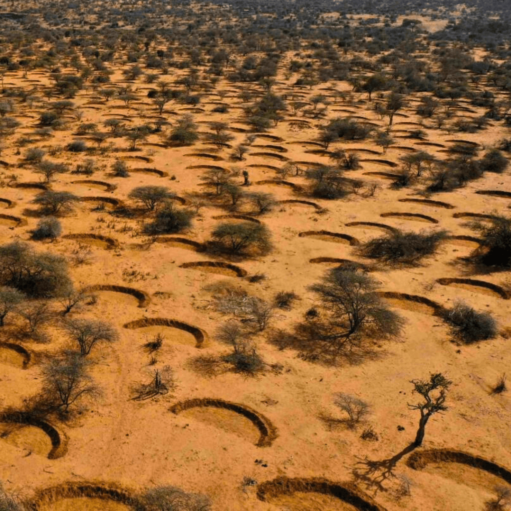northern kenya bunds