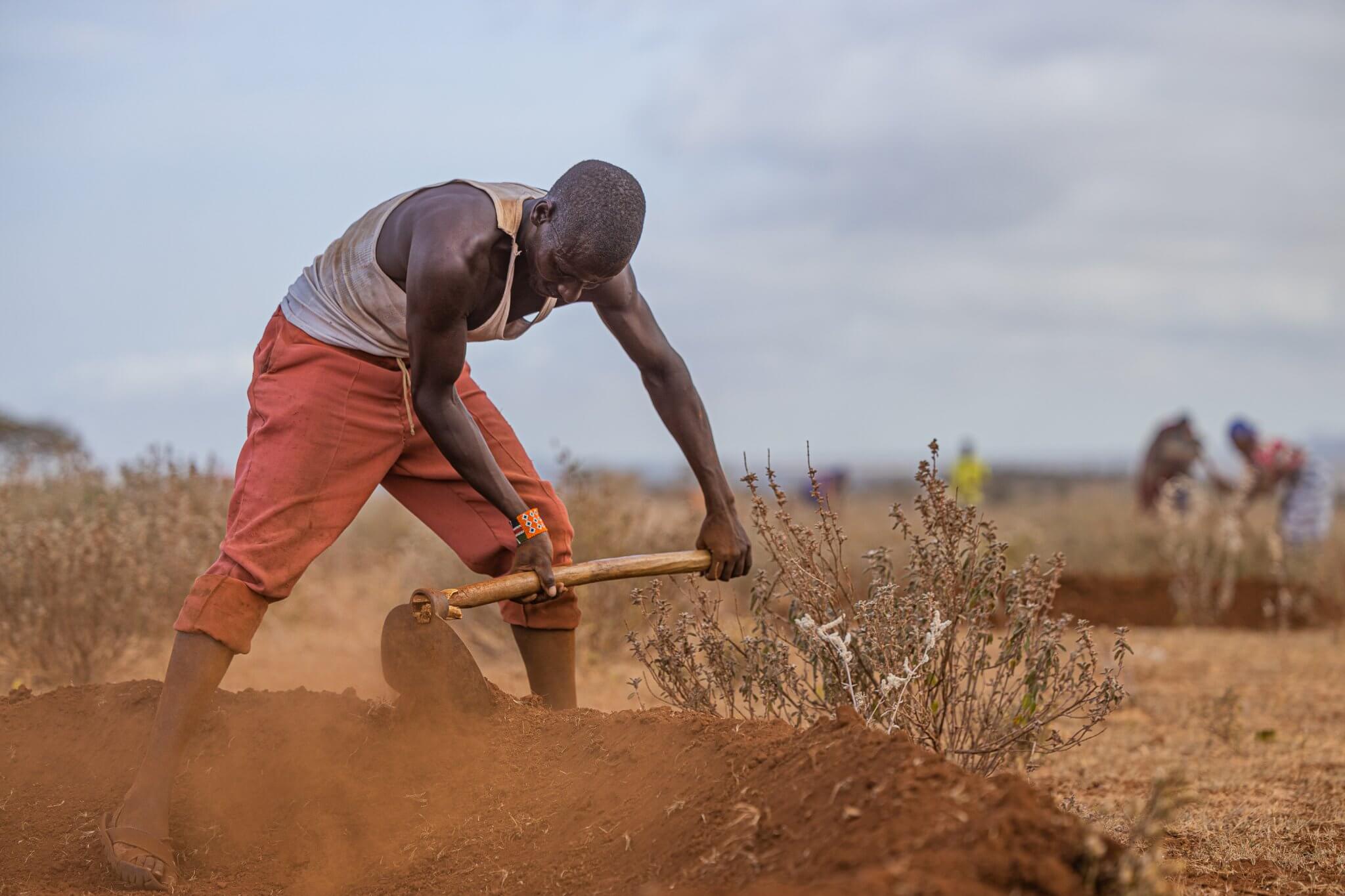10 Tony 02 2022 Ilchalai _ Bunds _ Kuku Chyulu _ Kenya (1)