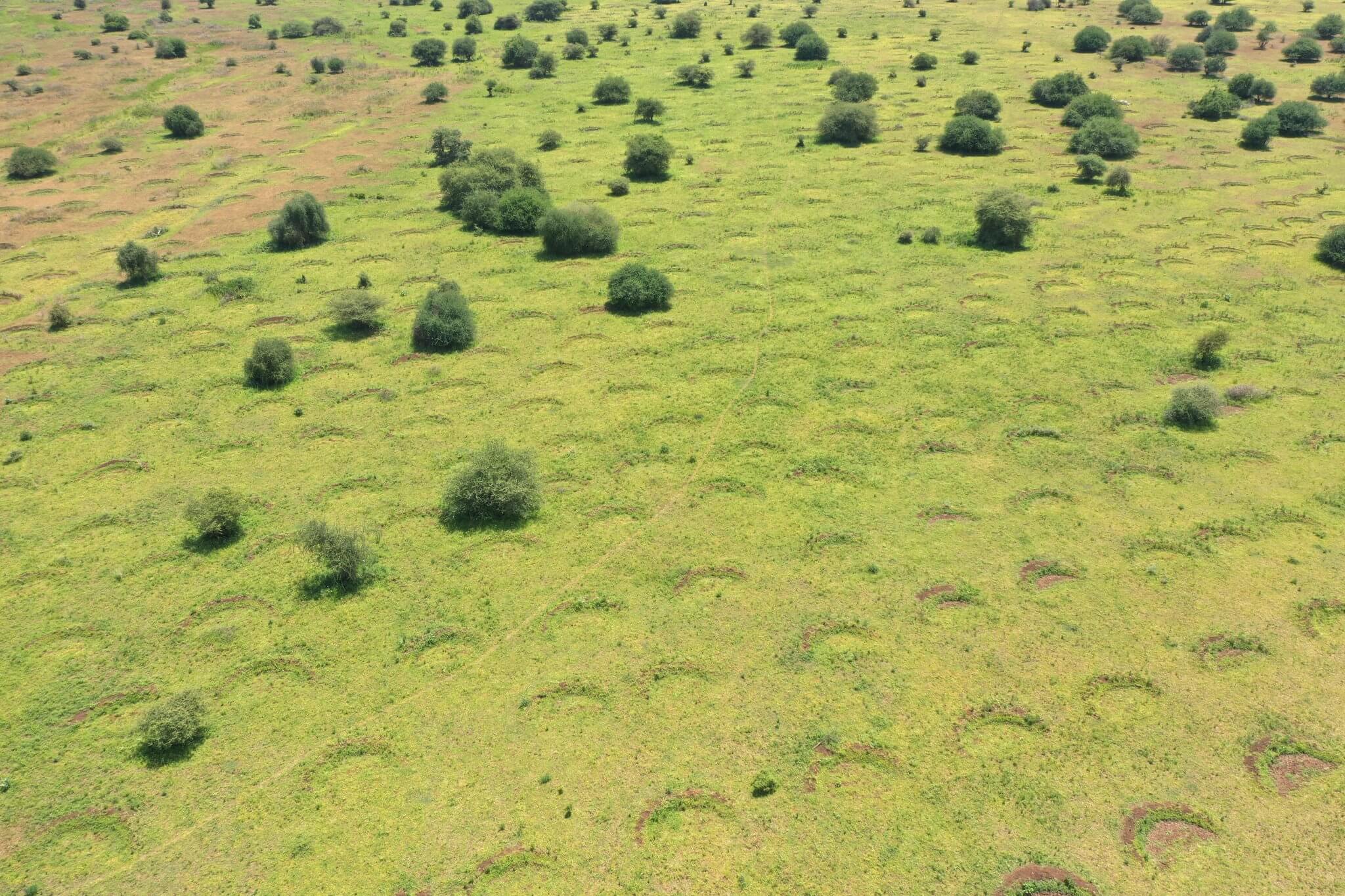 Bunds Monduli, Arusha Tanzania