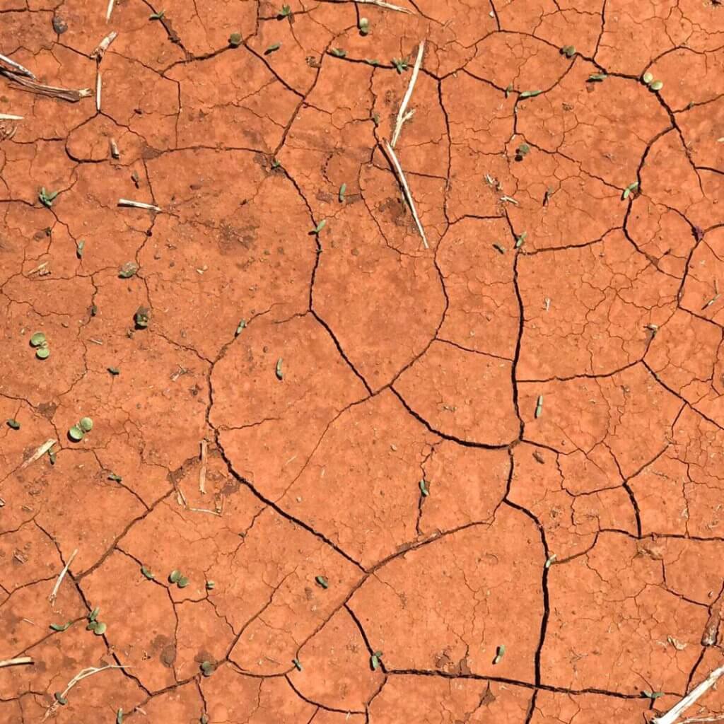 Drought and erosion, dry soil