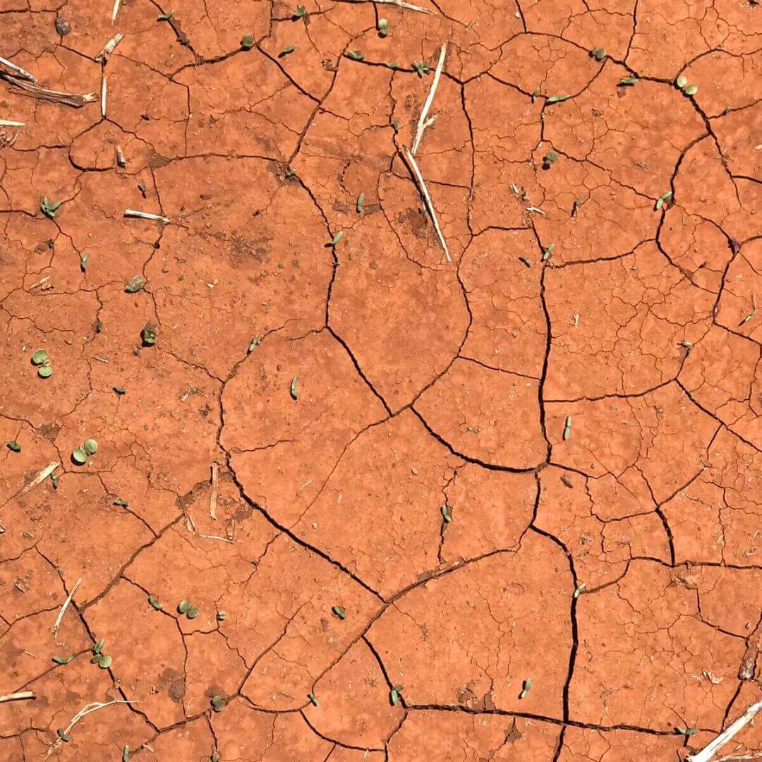 Drought and erosion, dry soil