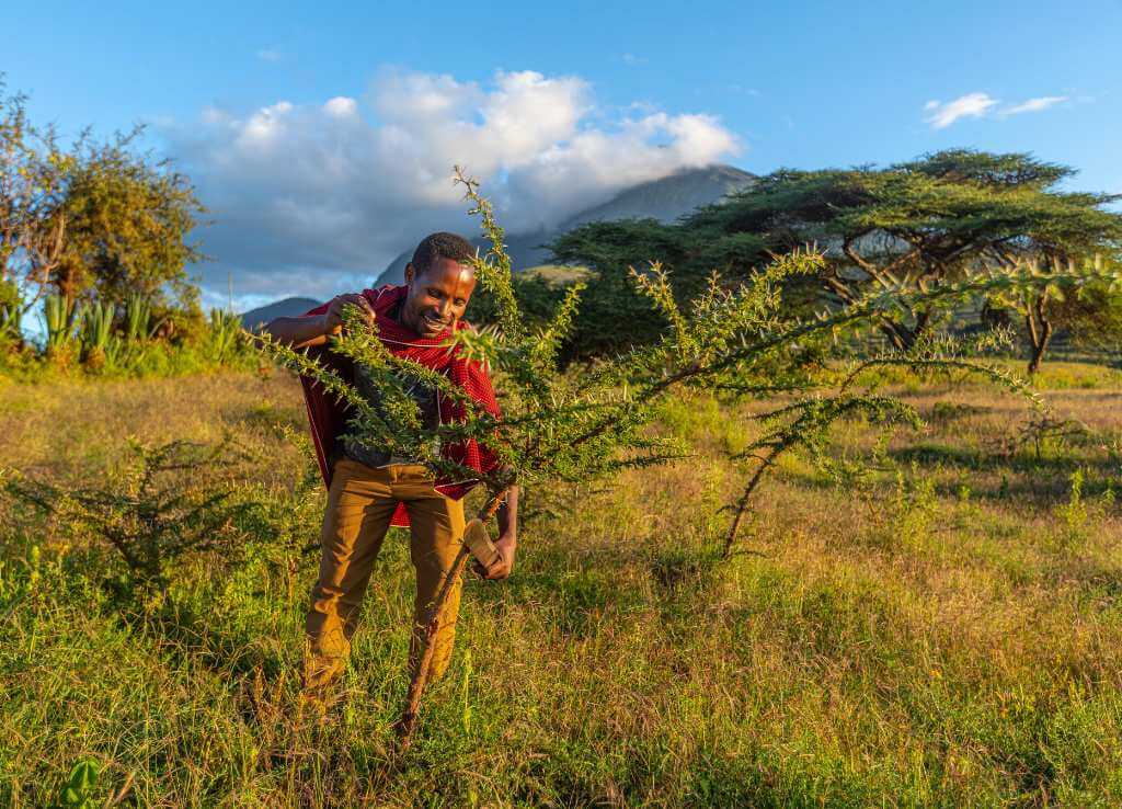 Kisiki Hai Treecovery _ Manyara Tanzania